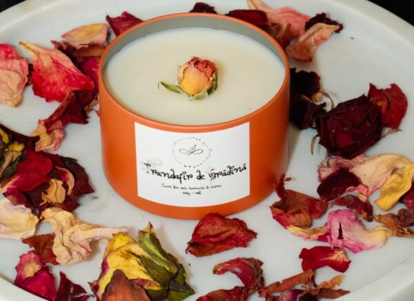 TRANDAFIR DE GRADINA